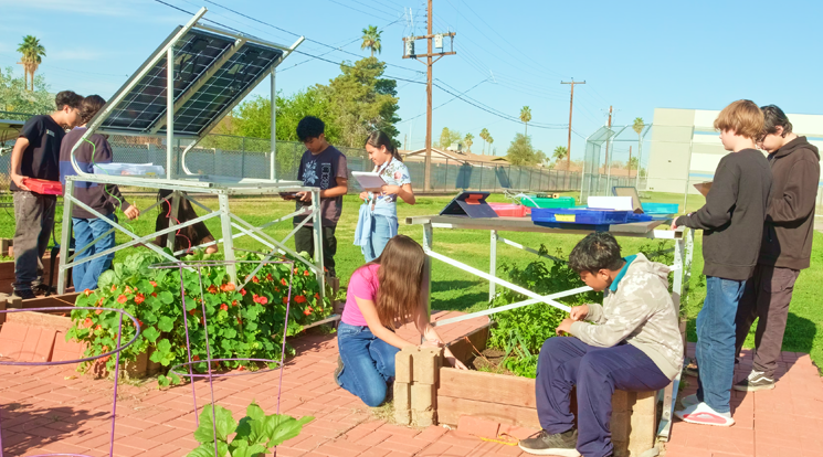 students cultivating school gardens through agrivoltaics project